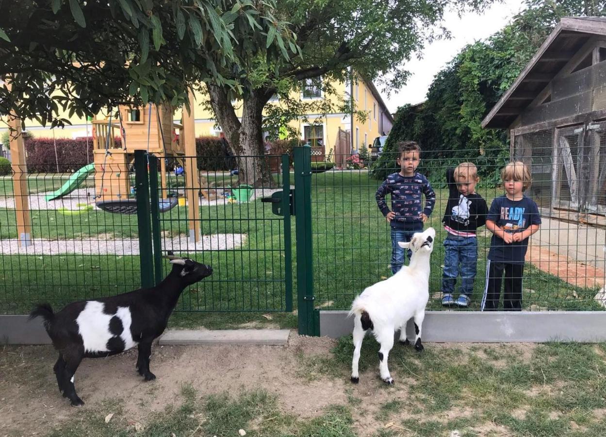 Familienbauernhof Strassbauer Villa Steinakirchen Am Forst Kültér fotó