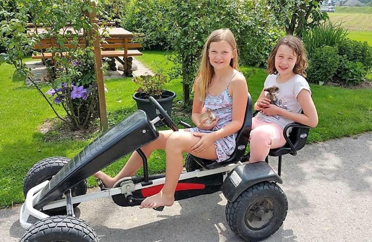 Familienbauernhof Strassbauer Villa Steinakirchen Am Forst Kültér fotó